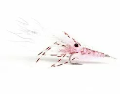 Leo Shrimp Pink #6