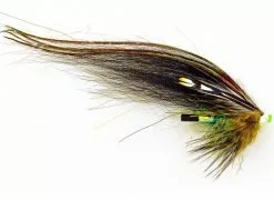 Guideline Vaehaeniva (Mikael Frödin)