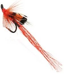 Guideline Allys Shrimp (trippel)