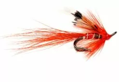 Allys Shrimp Micro Double # 14