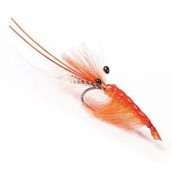 Guideline CDC Shrimp - Orange