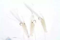 Coastline Shrimp Rig Luminous (#8)