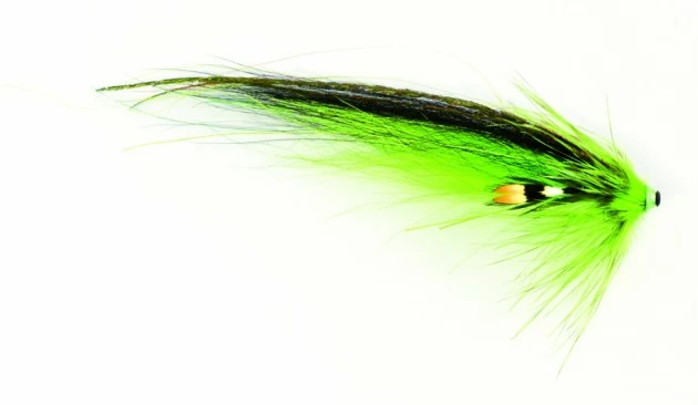 TTT Nobody The Witch (Mikael Frödin)