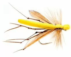 Yellow Daddy (Foam) #12