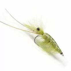Guideline CDC Shrimp - Olive