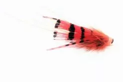 Micro Series - Mikael Frödin - 3 Cm G.P. Special