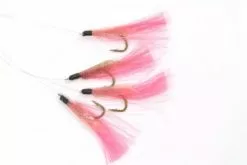 Coastline Pink Feathers (#1)