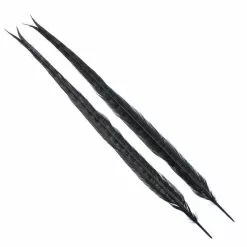 Ringneck Tail, 1 Pair BLACK