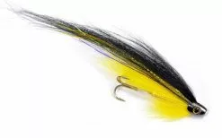 ScullRay Black & Yellow