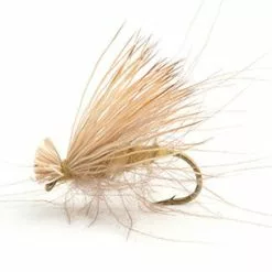 CDC Elk Caddis Yellow 12