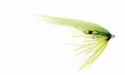 Nanook (Mikael Frödin)