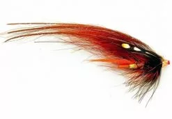 Guideline Phatakorva (Mikael Frödin)